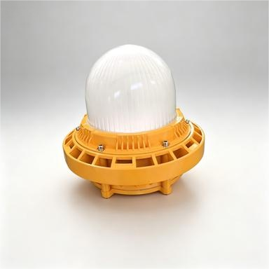 Quality  Explosion Proof Lighting with IP66 Protection Stainless Steel Construction and Rechargeable Function for Hazardous Areas factory