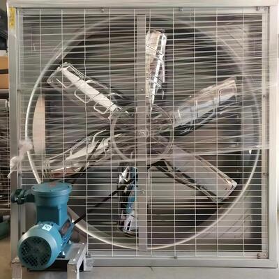 গুণমান  Explosion Proof Exhaust Fan | Hazardous Area Negative Pressure Ventilation Fan কারখানা