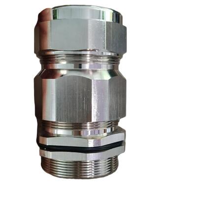 Exd SS304 SS316 Explosion Proof Cable Glands IP66 Waterproof Double Compression Armoured