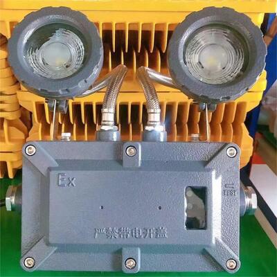 Đèn LED Khẩn Cấp Chống Cháy Nổ Gắn Tường Đầu Đôi Cho Khu Vực Nguy Hiểm