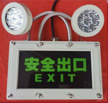 ATEX Ex-geschützte Twin Head LED-Notleuchte Zone 1 / 2 mit Notstromversorgung