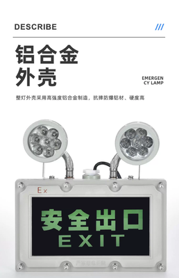 ATEX Explosion Proof Twin Head LED Emergency Light Zone 1 / 2 with Battery Backup