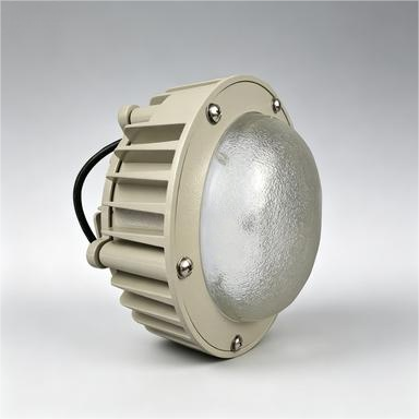 Explosion-proof LED Light for Hazardous Areas with IP66 Protection and 100-277VAC Wide Voltage Input