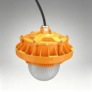 Explosion Proof Lighting with IP66 Protection  Function for Hazardous Areas