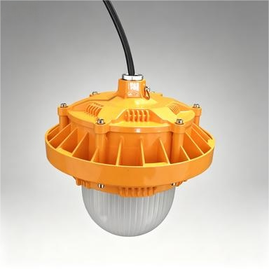 Explosion Proof Lighting with IP66 Protection Stainless Steel Construction and Rechargeable Function for Hazardous Areas