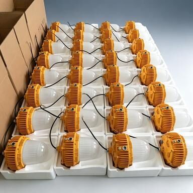 Explosion Proof Lighting with IP66 Protection  Function for Hazardous Areas