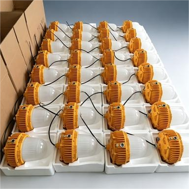 Explosion Proof Lighting with IP66 Protection Stainless Steel Construction and Rechargeable Function for Hazardous Areas