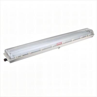 High Efficiency IP66 Waterproof Explosion Proof LED Light with 50000 Hour Lifetime and Corrosion Resistant Design
