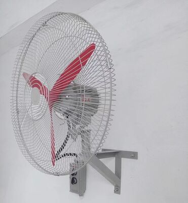 380V Electric Axial Cooling Shaking Head Fan Floor Type Explosion-Proof with Ball Bearing OEM Customizable